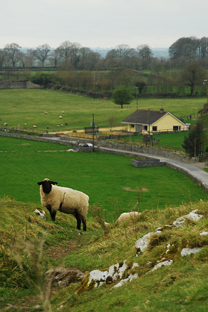 Ireland 12