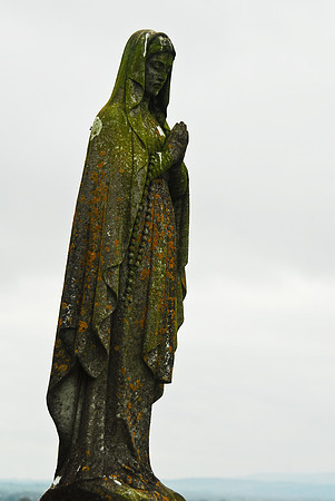 Ireland 7