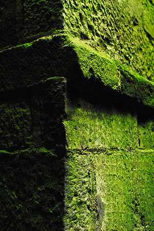 Ireland 4