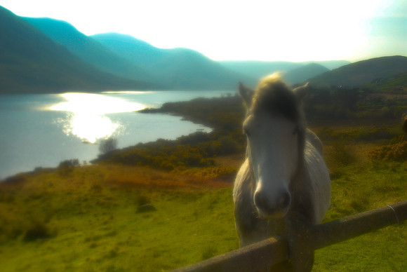 Ireland 18